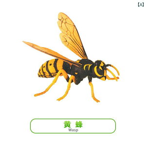  tBMA  ͌^ q RNV  m gݗ   g{ J}L A