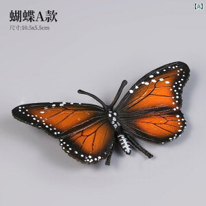  tBMA  ͌^ q RNV `bN  Ȋw  j̎q ̎q  A