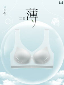  fB[X  V[X   n  ɔ Ђ  K  K  w X|[c xXg uW[