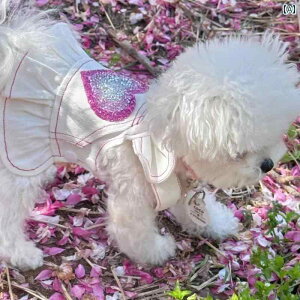    fj ~bL[ XJ[g tH ybg [NV[ }`[Y ^