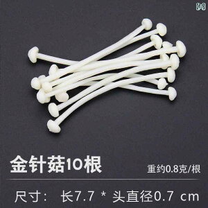 Hi Tv j[ fBXvC V[P[X HX o[xL[  tFCN  }g tCh H  ~[g{[  q o[xL[ V 