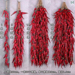 Hi Tv j[ fBXvC V[P[X HX _ V~[V  Ԃ牺  ze Xg t[c  y_g K[bNybp[ R[  