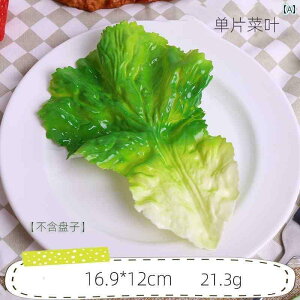 Hi Tv j[ fBXvC V[P[X HX ^X t `bN tFCN ^X t ʕ  M  t Be 