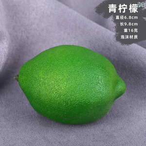 Hi Tv j[ fBXvC V[P[X HX  V~[V  tFCN t[c O[  CG[      A ʕ  