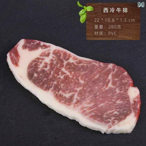 Hi Tv j[ fBXvC V[P[X HX  Xe[L tFCN o[xL[ XCX ؓ  tbV  f er  m O WG[ 