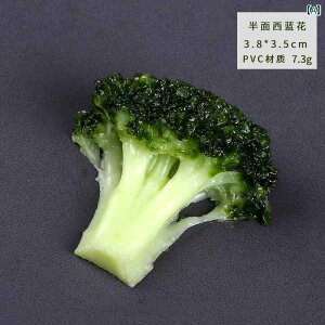 Hi Tv j[ fBXvC V[P[X HX ubR[  Jt[ Ԃт ʕ  m Xe[L M    