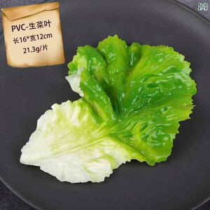 Hi Tv j[ fBXvC V[P[X HX LmR ͌^ [Xg LmR Ԑ LmR LmR  m  ANZT[ Be  