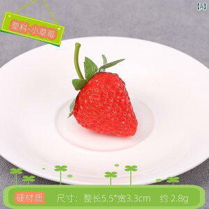 Hi Tv j[ fBXvC V[P[X HX  XCX XCJ S SV XCX IW XCX tFCN t[c XCX P[L C 荇킹 