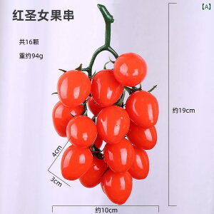 Hi Tv j[ fBXvC V[P[X HX `F[ g}g  `bN tFCN t[c Be  q   g}g g}g  