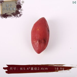 Hi Tv j[ fBXvC V[P[X HX V~[V Tc}C tFCN Tc}C Tc}C [Xg Tc}C q   ʐ^Be 