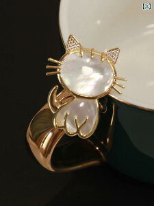 fB[X ANZT[  L ] qL u[` 킢 Z[^[ s ؍ RT[W