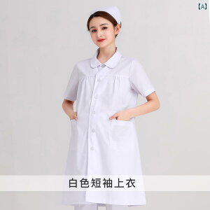 i[X Dw }^jeB jtH[   O  傫TCY hN^[  Zp[g DP