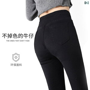 }^jeB EFA Dw  W[Y tH AE^[ 傫TCY t      㕪 pc t