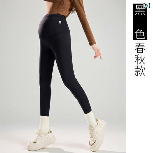 }^jeB EFA Dw MX pc tH AE^[ pc H~ N  K pc 傫TCY   N t 