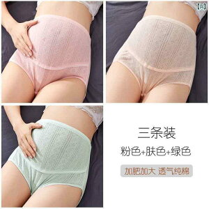 }^jeB  Dw 傫TCY nCEGXg  傫TCY    DP    fB[X