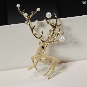 ANZT[ fB[X 킢 giJC u[`  ؍ RT[W eF s