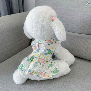 ybg   |jA efB L hX L vZX hX ViEU[ ^  ԕ hX