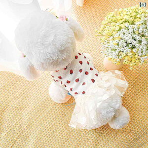 ybg   tH L XJ[g q 킢 JWA   vZX efB |jA rVt[[