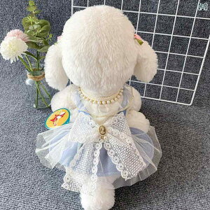 ybg   N    킢 vZX L N XJ[g efB H~ g hX