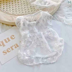 ybg   [X XJ[g q ^  qL rV efB l`   t t