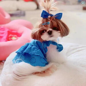 ybg  t ؍ tO X[u [X XJ[g efB rV  L   