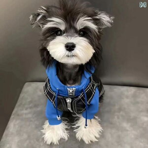 ybg  H~  U[R[g ViEU[ }`[Y efB rVt[[ [NV[ Č L