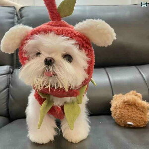 ybg   S ߑ [NV[ }`[Y efB Č ^  킢 ؍ rVt[[ H~