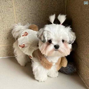 ybg  H~ N LeO ou XJ[g efB rV  L  R[g