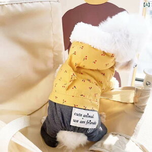 ybg  |jA rVt[[ ViEU[ v[h efB  H~ H q ~N  킢