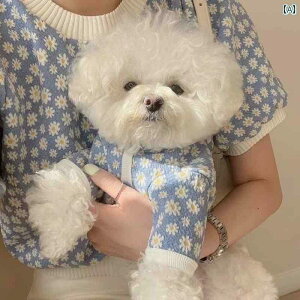 ybg  H~  J[fBKWPbg ؍ Jbv ߑ efB rV |jA ^ 