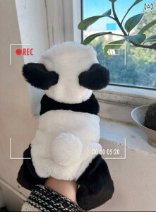 ybg  킢 p_ ϐg RX`[     pf[ l{  efBxA