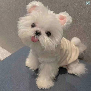 ybg  킢 ʂ H~ g[i[ |jA }^ [NV[ EGXg nCh