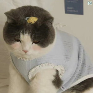 ybg  xr[ Rbg{ xXg  L    킢 tH E h~