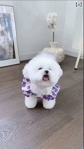 ybg  t ԕ tO X[u ؍ V[g XJ[g efB rV  L  