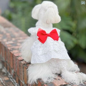 ybg  t EFfOhX { [X hX efB rV  L