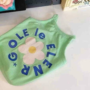 ybg  t` h[ t H   uhbO pO  xXg ۂ    