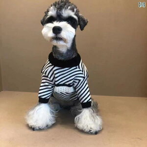 ybg   jbg Z[^[ rVt[[ ^  v[h ViEU[ efB qL H~