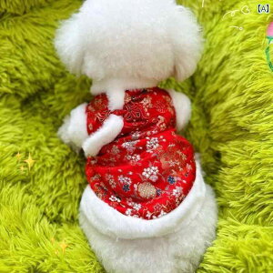 ybg  H~   X[c q N j   R[g ~ efBxA N