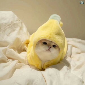 H~ ϐg ybg  oii N  efBxA  ybg L ^   Ԃ