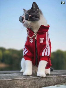    tH~ efB R[M[ ViEU[ ^ ^  ybg 