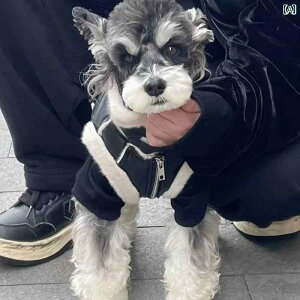   h  gh t@[ I[C C_[XWPbg ^  efB |jA ViEU[ L