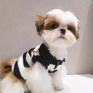 tH~ ybg   XgCvZ[^[ | jbg hJ }^ 