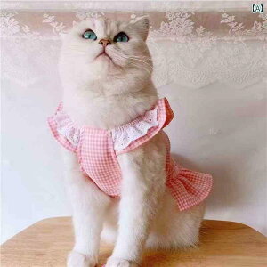 t [X tCO X[u L hX `FbN ybg xXg XJ[g  ̎q ̎q ̎q n[g 