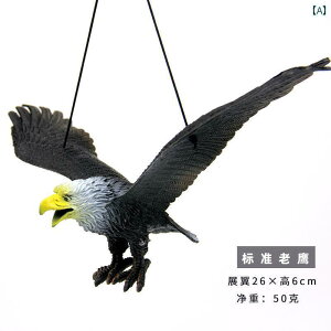   tFCN A tBMA V   `bN s  q oRj[ ʎ   悯  | 