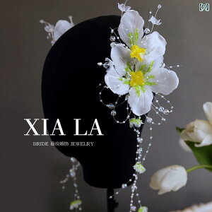 uC_ wbhANZT[  EFfBO p[eB[ w ԉ   RXv tbV Ԃт O[ r[Y wbh t[ wAs tFA[ ANZT[ G