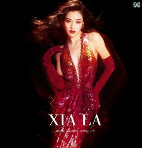 uC_ ANZT[ EFfBO p[eB[  ԉ w  NX}X g uS[j hX  Te N fBi[  tHgX^WI ʐ^ ߑ