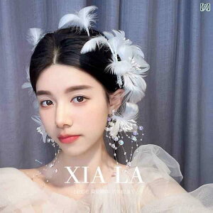 uC_ wbhANZT[  EFfBO p[eB[ w ԉ   RXv ʂ X[p[ tFA[ tFU[ wbh t[ wAs  hX  tHgX