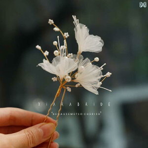 uC_ wbhANZT[  EFfBO p[eB[ w ԉ   RXv wbh hX ԕ wAs tFA[  wAs wA tH[N ANZT[