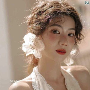 uC_ ANZT[ EFfBO p[eB[  ԉ w  ؍ X[p[ tFA[  tA K[[ CO X mbg  Nbv s ʐ^ 