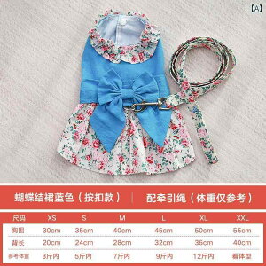  hX XJ[g s[X hbOEFA 킢  ybg  L L u[ sN ԕ `FbN